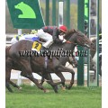 Carrera: P.Patrimonio Nacinal | Caballo: Plantagenet | Monta: J.L.Borrego