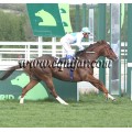 Carrera: P.Loto Turf  (Venta) | Caballo: Foxtrot Delta | Monta: S.Martín