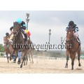 Carrera: P.Nespresso | Caballo: Selamy | Monta: Sr.Pineda G.