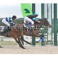 Carrera: P.Nespresso | Caballo: Selamy | Monta: Sr.Pineda G.