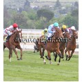 Carrera: P.Primer Paso | Caballo: Irish Field | Monta: S.Martín