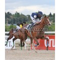 Carrera: P.Loto Turf | Caballo: Zarevich Nuñez | Monta: J.Crocquevieille