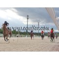 Carrera: P.Loto Turf | Caballo: Zarevich Nuñez | Monta: J.Crocquevieille
