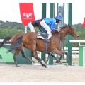 Carrera: P.Nespresso | Caballo: Sofgui | Monta: J.Crocquevieille