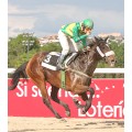 Carrera: P.Loto Turf | Caballo: La Rubia | Monta: M.Gomes