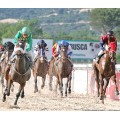 Carrera: P.Loto Turf | Caballo: La Rubia | Monta: M.Gomes