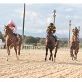 Carrera: P.SEPI (Am-Gen) | Caballo: Karlo Vivary | Monta: Sr.Mahony M.