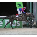 Carrera: P.Loto Turf (Am.Gen) | Caballo: Eriko
