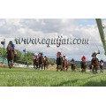 Carrera: P.Caja Madrid | Caballo: Perfectamente | Monta: J.Crocquevieille