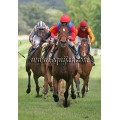 Carrera: P.Loto Turf | Caballo: Carmanor (GB) | Monta: O.Ortiz de U.
