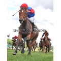 Carrera: P.Loto Turf | Caballo: Carmanor (GB) | Monta: J.Crocquevieille