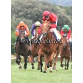 Carrera: P.S,Antonio de Padua | Caballo: Clunia | Monta: B.Fayos