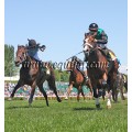 Carrera: P.Loto Turf | Caballo: Suntuoso | Monta: M.Secci