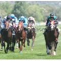 Carrera: P.Loto Turf | Caballo: Suntuoso | Monta: M.Secci