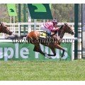 Carrera: P.SEPI | Caballo: Little Heroe | Monta: S.Bermejo
