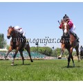Carrera: P.SEPI | Caballo: Little Heroe | Monta: S.Bermejo