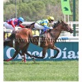 Carrera: P.Cadena SER     (Am-Ge) | Caballo: Fathside