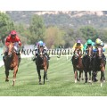 Carrera: P.Carlos Sobrino | Caballo: Clunia | Monta: B.Fayos