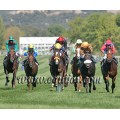 Carrera: G.P.Memorial D.de Toledo | Caballo: Karluv Most | Monta: J.Crocquevieille
