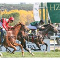 Carrera: P.Cadena SER | Caballo: Suntuoso | Monta: O.Ortiz de U.