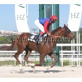 Carrera: P.Patrimonio Nacional | Caballo: Usaquen | Monta: J.Crocquevieille