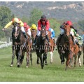 Carrera: P.LAE | Caballo: Aljarafe (FR) | Monta: J.L.Borrego