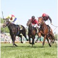 Carrera: P.LAE | Caballo: Aljarafe (FR) | Monta: J.L.Borrego