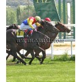 Carrera: P.LAE | Caballo: Aljarafe (FR) | Monta: J.L.Borrego
