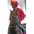 Carrera: P.Loto Turf | Caballo: Orgi