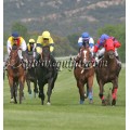 Carrera: P.Loto Turf | Caballo: Newby | Monta: J.Horcajada