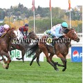 Carrera: P.Veil Picard | Caballo: Norris | Monta: M.Borrego