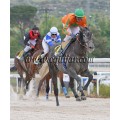 Carrera: P.Patriminio Nacional (Am-Ge) | Caballo: Special Request | Monta: Sr.Pineda G.