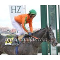 Carrera: P.Patriminio Nacional (Am-Ge) | Caballo: Special Request | Monta: Sr.Pineda G.