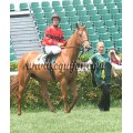 Carrera: Oaks | Caballo: Clunia | Monta: B.Fayos