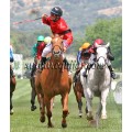 Carrera: Oaks | Caballo: Clunia | Monta: B.Fayos