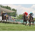 Carrera: P.Wilsdsun | Caballo: Don Fernando Hab | Monta: J.Jarcovsky