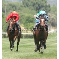 Carrera: P.Wilsdsun | Caballo: Don Fernando Hab | Monta: J.Jarcovsky