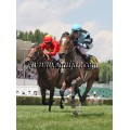 Carrera: P.Wilsdsun | Caballo: Don Fernando Hab | Monta: J.Jarcovsky
