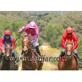 Carrera: Derby | Caballo: Ayanz | Monta: M.Demuro