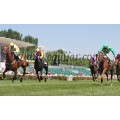 Carrera: P.Loto Turf | Caballo: Arnuero | Monta: J.Horcajada