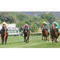 Carrera: P.Loto Turf | Caballo: Arnuero | Monta: J.Horcajada