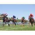 Carrera: P.Loto Turf | Caballo: Baronía | Monta: V.Janacek