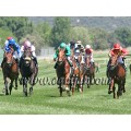 Carrera: P.Loto Turf | Caballo: Baronía | Monta: V.Janacek