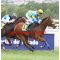 Carrera: P.P.Quintuple Plus-Santiago galaz | Caballo: Secretside | Monta: J.Grosjean