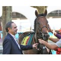 Carrera: P.European Breeders Found | Caballo: Lucena (GB)