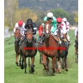 Carrera: P.Loto Turf | Caballo: Medici Palace | Monta: J.Crocquevieille