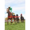 Carrera: P.Loto Turf | Caballo: Medici Palace | Monta: J.Crocquevieille