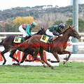 Carrera: Premio Cadena SER | Caballo: Cascabel | Monta: M.Borrego