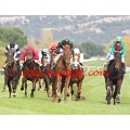 Carrera: Premio Cadena SER | Caballo: Cascabel | Monta: M.Borrego