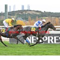 Carrera: P.Veil Picard | Caballo: Arsalan | Monta: J.B.Hamel